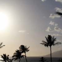 hawaii 003.jpg