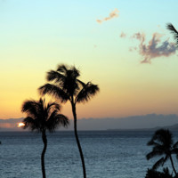 hawaii 143.jpg