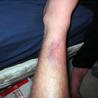 2005 10 24 hockey slash wtf leg